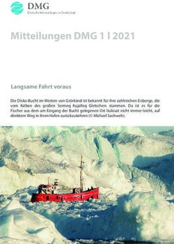 Mitteilungen DMG 1 l 2021 - Langsame Fahrt voraus - Deutsche Meteorologische ...