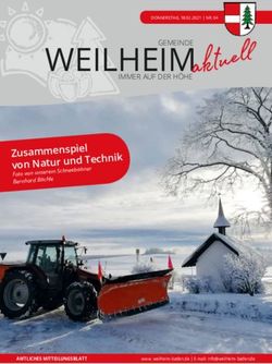 WEILHEIMIMMER AUF DER HÖHE - von Natur und Technik Foto von unserem Schneebahner Bernhard Bächle - Gemeinde Weilheim