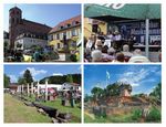 SING CITY ORCHESTER - HOMBURG 20. JUNI 2015