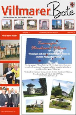 Villmarerer Bote - Marktflecken Villmar