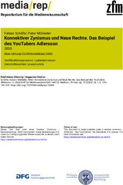 Konnektiver Zynismus und Neue Rechte. Das Beispiel des YouTubers Adlersson