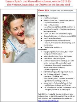 Unsere Spital- und Gesundheitsclowns, welche 2019 f&uuml;r den Verein Clownvisite im Oberwallis im Einsatz sind