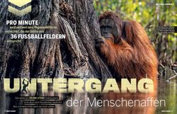 Der Menschenaffen - BOS Deutschland eV