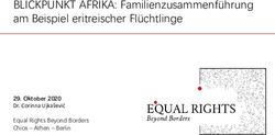 BLICKPUNKT AFRIKA: Familienzusammenf&uuml;hrung am Beispiel eritreischer Fl&uuml;chtlinge - Oktober 2020