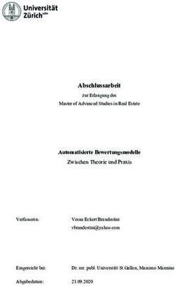 Abschlussarbeit zur Erlangung des