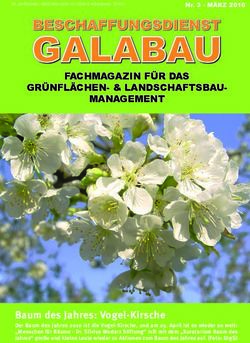 BAUM DES JAHRES: VOGEL-KIRSCHE - BESCHAFFUNGSDIENST GALABAU
