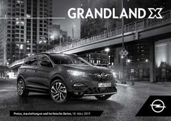 Grandland - Preise, ausstattungen und technische daten, 18. M&auml;rz 2019 - Opel