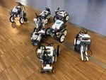 Infos zum NWT-Profil Klassen 8 10