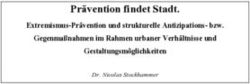 Pr&auml;vention findet Stadt - Extremismus-Pr&auml;vention und strukturelle Antizipationsbzw. Gegenma&szlig;nahmen im Rahmen urbaner Verh&auml;ltnisse und ...