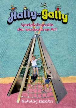 Spielplatzgeräte der besonderen Art - Katalog 2020/21
