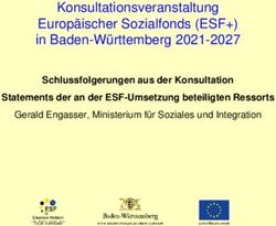 Konsultationsveranstaltung Europ&auml;ischer Sozialfonds (ESF+) in Baden-W&uuml;rttemberg 2021-2027 - Schlussfolgerungen aus der Konsultation Statements der ...