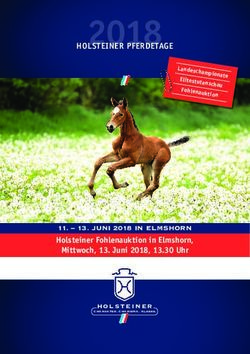 HOLSTEINER PFERDETAGE - Mittwoch, 13. Juni 2018, 13.30 Uhr 11 - 13. JUNI 2018 IN ELMSHORN - Holsteiner Verband