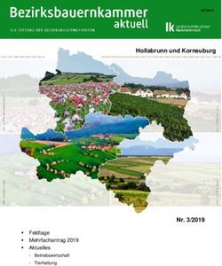 Hollabrunn und Korneuburg - Nr. 3/2019 Feldtage Mehrfachantrag 2019 Aktuelles