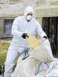 Gefahren durch Asbest - GEFÄHRLICHE ARBEITEN, SCHUTZMASSNAHMEN, SCHUTZAUSRÜSTUNG BEI ENTSORGUNG - SVS