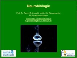 Neurobiologie g Prof. Dr. Bernd Grünewald, Institut für Bienenkunde, FB Biowissenschaften - Goethe University Frankfurt