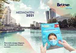 MEDIADATEN 2021 - &Ouml;sterreichs einziges Magazin, das in Deutsch und T&uuml;rkisch erscheint - Brucke Magazine