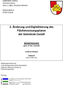 &Auml;nderung und Digitalisierung des Fl&auml;chennutzungsplanes der Gemeinde Castell