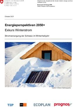 Energieperspektiven 2050+ - Exkurs Winterstrom Stromversorgung der Schweiz im Winterhalbjahr