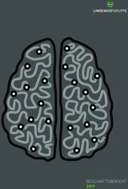 GESCH&Auml;FTSBERICHT 2019 - Lindenhofgruppe AG