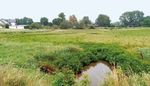 VOGELSBERG.SEITEN Neues aus dem Naturschutzgroßprojekt Vogelsberg 2021