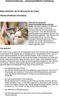 Katzenernährung - wissenschaftliche Vertiefung