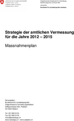 Strategie der amtlichen Vermessung für die Jahre 2012 2015