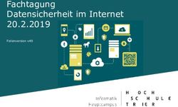 Fachtagung Datensicherheit im Internet 20.2.2019 - Folienversion v49 - Informatik
