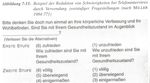 Das standardisierte Interview