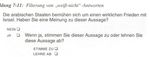Das standardisierte Interview
