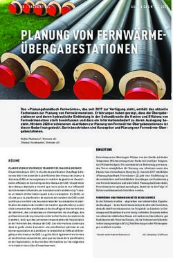PLANUNG VON FERNW&Auml;RME-&Uuml;BERGABESTATIONEN - 20 | FACHARTIKEL