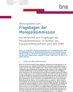 Fragebogen der Monopolkommission - Stellungnahme zum - Der Bundesverband ...