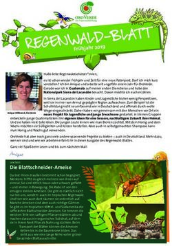 REGENWALD-BLATT FR&Uuml;HJAHR 2019 - OROVERDE