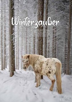 Winterzauber Winterbilder in Schnee und Eis sind meistens eher farblos und kontrastarm. Hier erf&auml;hrst du, wie man Schneebilder aufbereitet und mit ...