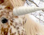 Winterzauber Winterbilder in Schnee und Eis sind meistens eher farblos und kontrastarm. Hier erfährst du, wie man Schneebilder aufbereitet und mit ...