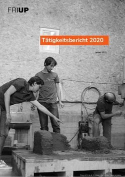 T&auml;tigkeitsbericht 2020 - Januar 2021