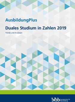 AusbildungPlus Duales Studium in Zahlen 2019 - Trends und Analysen