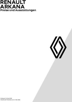 RENAULT ARKANA Preise und Ausstattungen