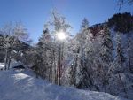 Schneeschuhwandern Auf großen Tatzen rund um Großarl 20 - 25. Februar 2021 - Bewährtes 4* Wander- und Wellnesshotel Leichte Schneeschuhtouren ...