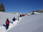 Schneeschuhwandern Auf großen Tatzen rund um Großarl 20 - 25. Februar 2021 - Bewährtes 4* Wander- und Wellnesshotel Leichte Schneeschuhtouren ...