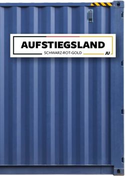 AUFSTIEGSLAND SCHWARZ-ROT-GOLD - Junge Union