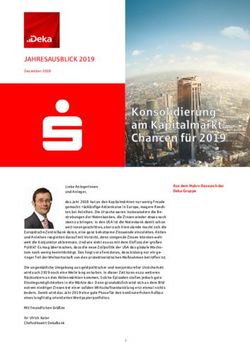 JAHRESAUSBLICK 2019 Dezember 2018