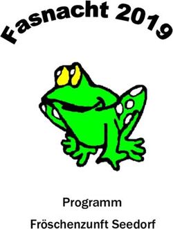 Programm Fröschenzunft Seedorf - Heute ...