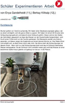 Schüler Experimentieren Arbeit - von Enya Gandelheidt (11j.) Berkay Kilikalp (12j.)