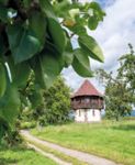Nachrichten - Stadt Freiburg