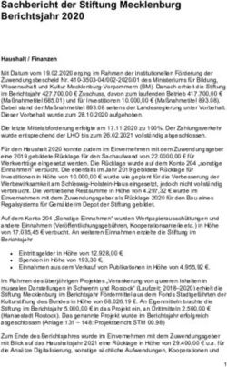 Sachbericht der Stiftung Mecklenburg Berichtsjahr 2020