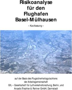 RISIKOANALYSE FÜR DEN FLUGHAFEN BASEL-MÜLHAUSEN-KURZFASSUNG- AUF DER BASIS DES FLUGSICHERHEITSGUTACHTENS DER ARBEITSGEMEINSCHAFT GFL ...