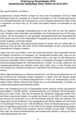 Einbringung Haushaltsplan 2019 Haushaltsrede Stadtpfleger Elmar Seifert am 28.01.2019