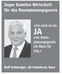 Inserate im Abstimmungskampf - Analyse der Inserate-Kampagne im Vorfeld der eidgen&ouml;ssischen Abstimmungen vom 3. M&auml;rz 2013