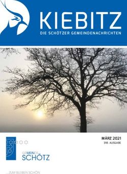 KIEBITZ DIE SCHÖTZER GEMEINDENACHRICHTEN - MÄRZ 2021 318. AUSGABE - Gemeinde Schötz