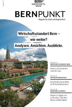 BERNPUNKT - Wirtschaftsraum Bern
